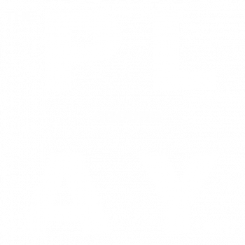 White text that reads "The Playground NYC"
