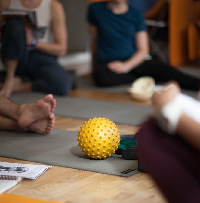 Group of people on Pilates mats studying.